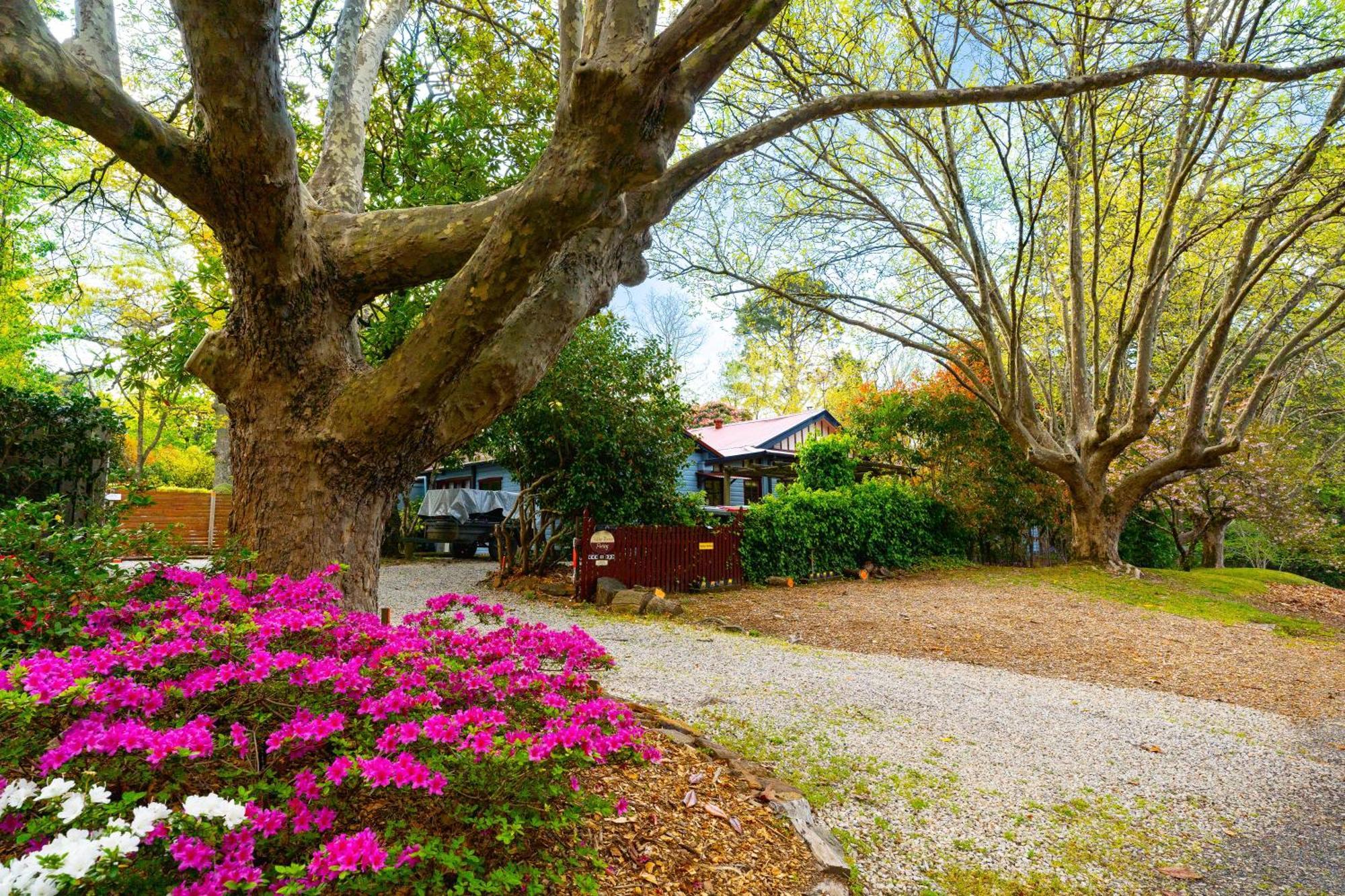 Kubba Roonga Guesthouse - Boutique Luxury Spa Retreat & Gardens - Blue Mountains Blackheath Exterior foto